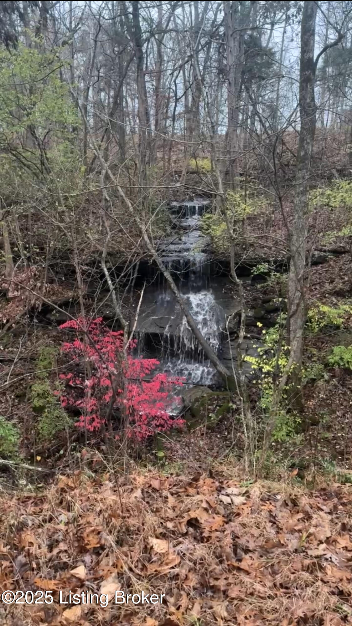 Tract 3 Crystal Lake Ln, Bardstown, Pennsylvania image 12