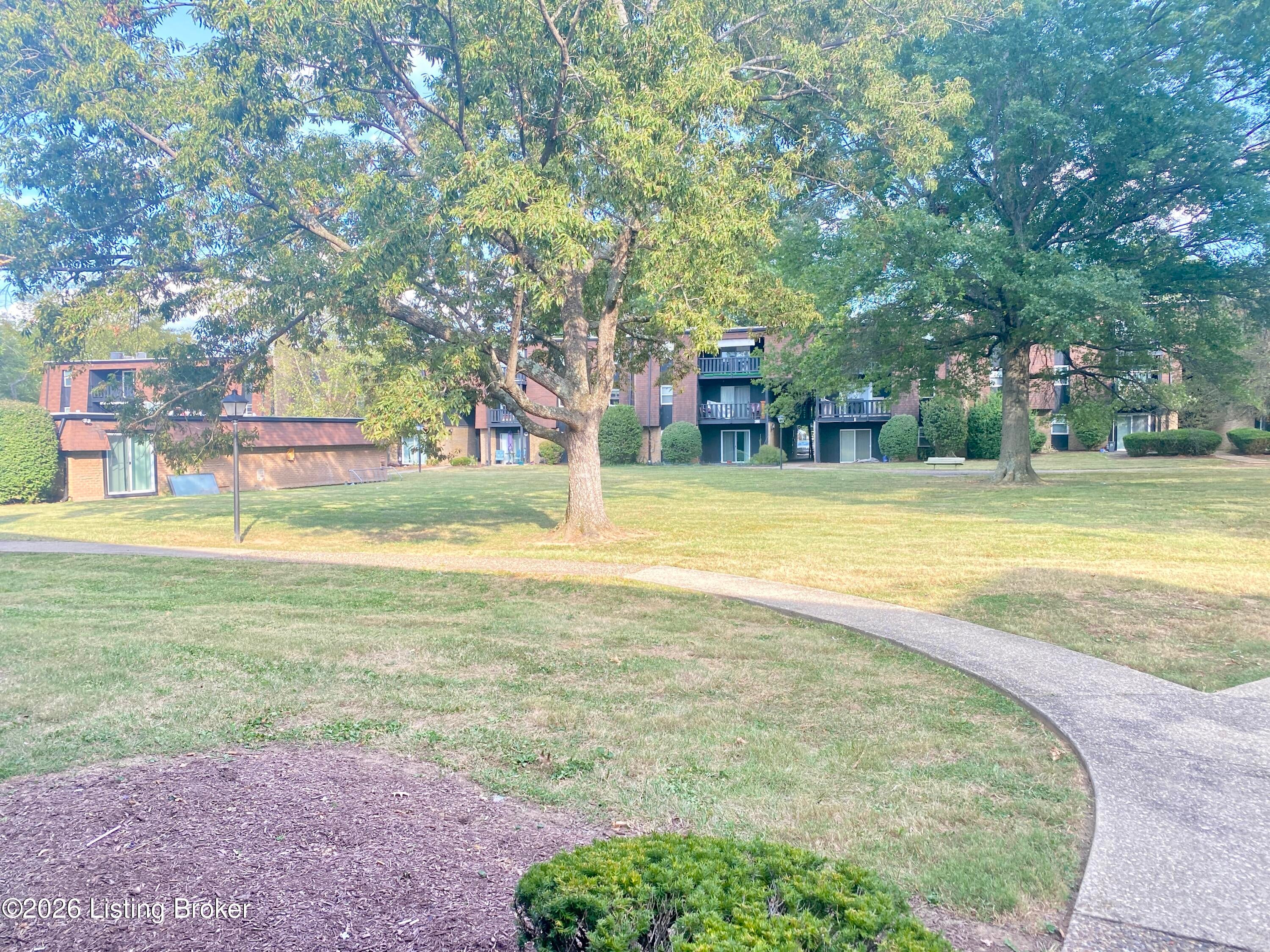 3505 Lodge Ln APT 311