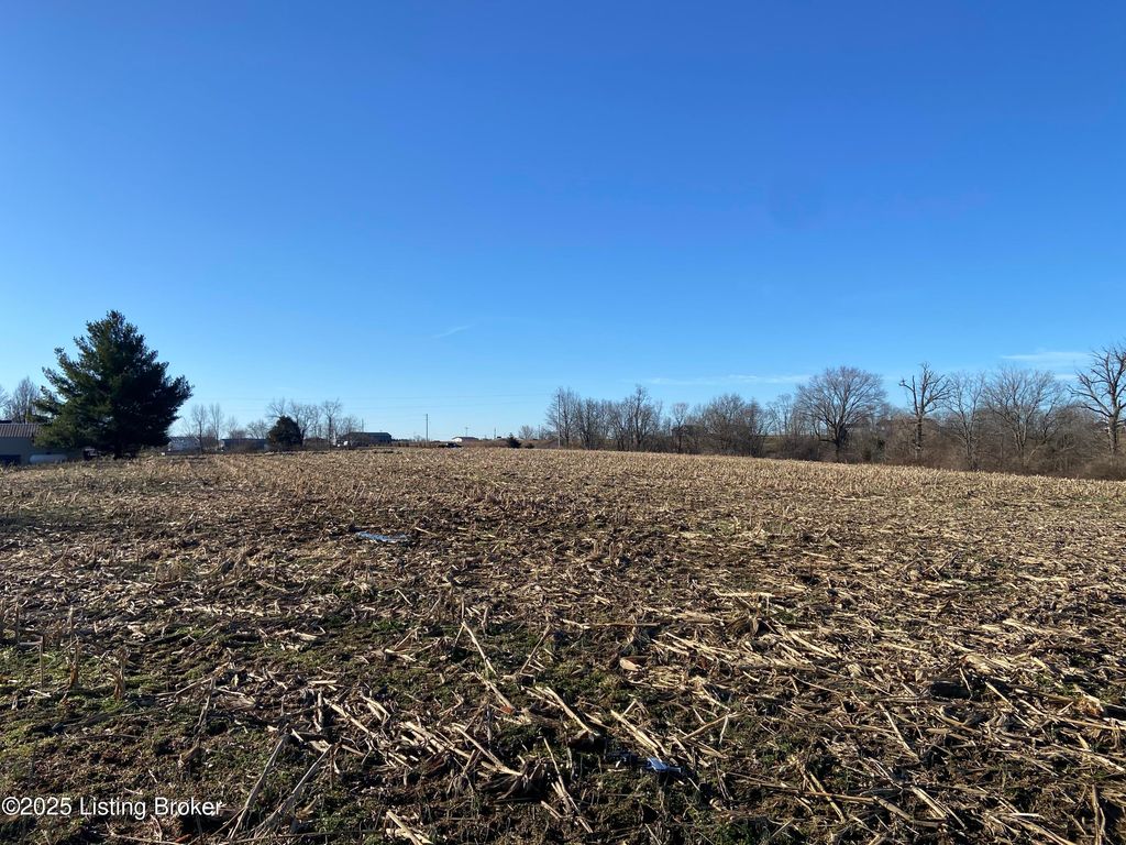 Photo of 32 Beasley Ln, Sulphur, KY 40070 (MLS # 1704988)