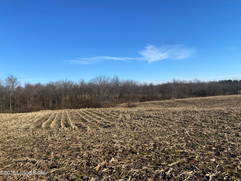 Photo of 32 Beasley Ln, Sulphur, KY 40070 (MLS # 1704988)