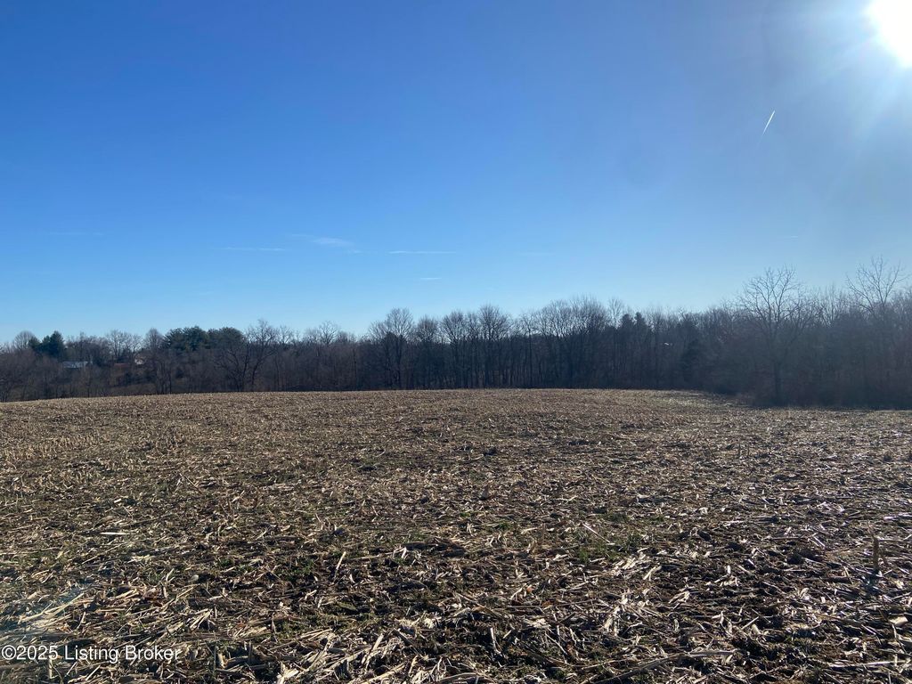 Photo of 32 Beasley Ln, Sulphur, KY 40070 (MLS # 1704988)