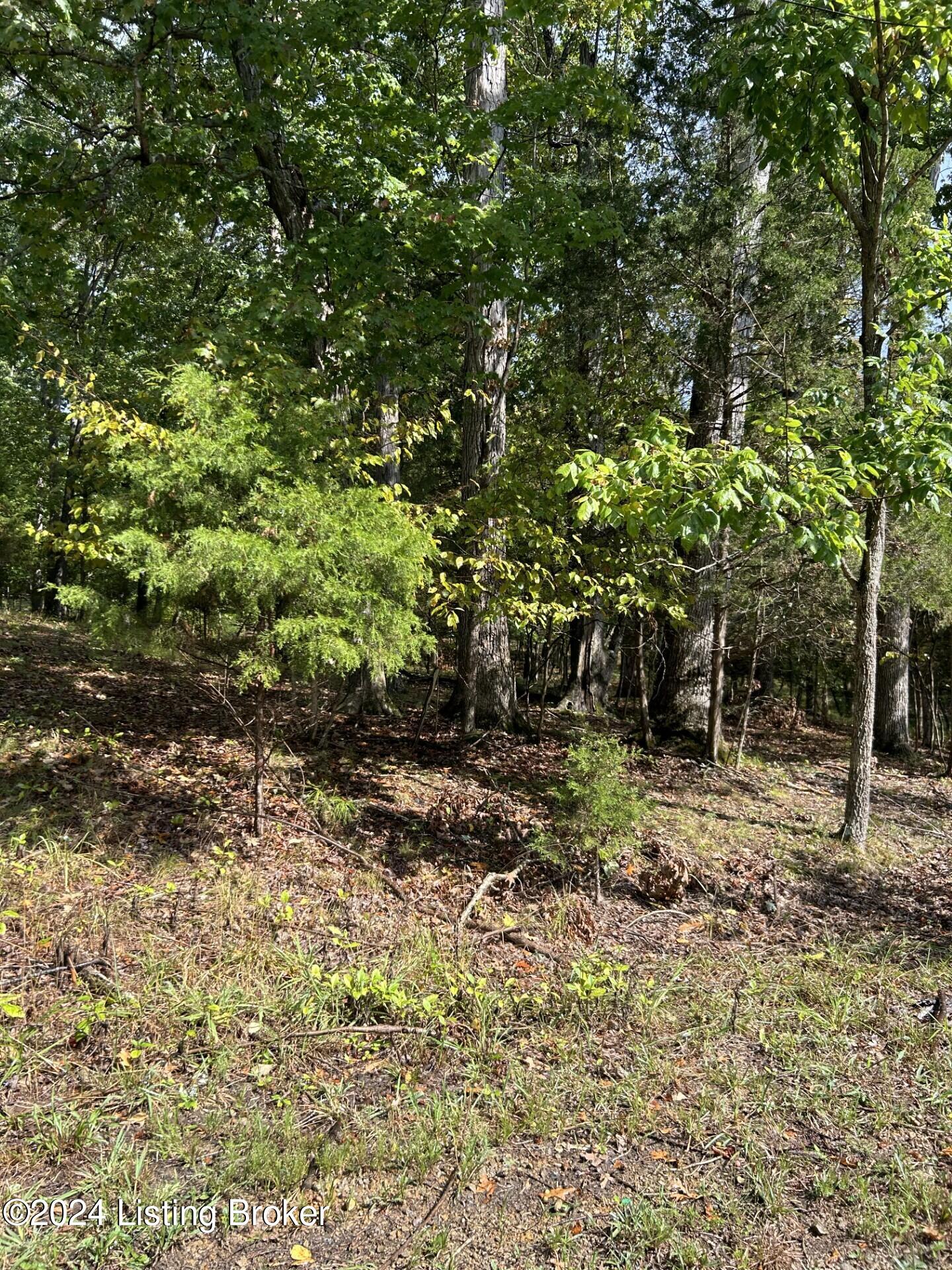 Pine View Ct, Brandenburg, Kentucky image 3
