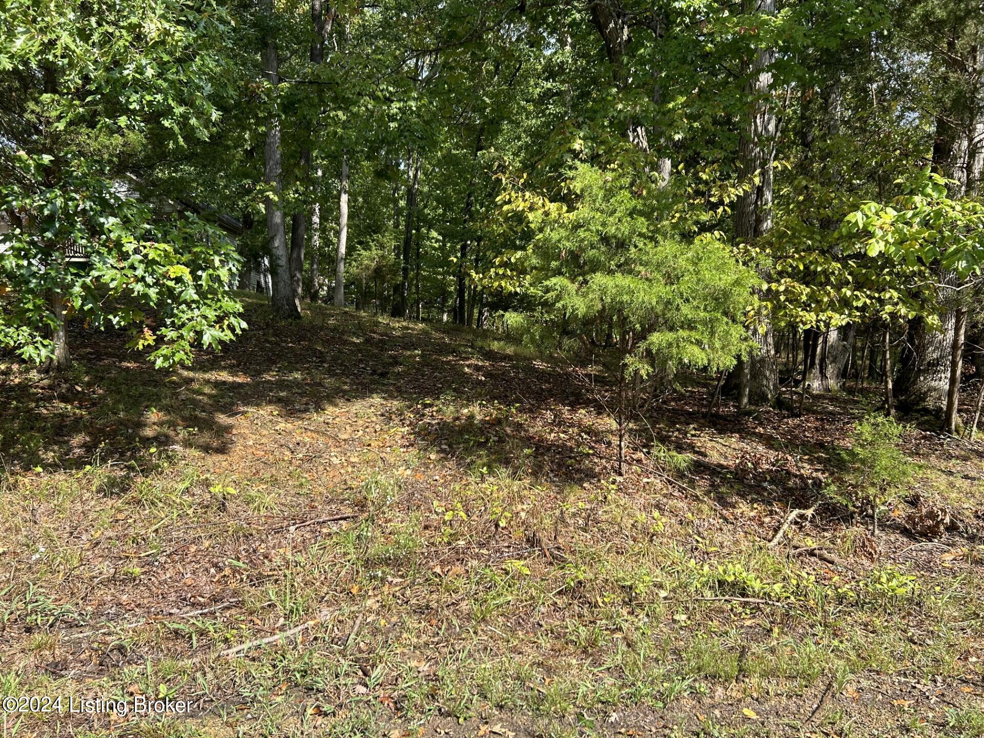 Pine View Ct, Brandenburg, Kentucky image 5