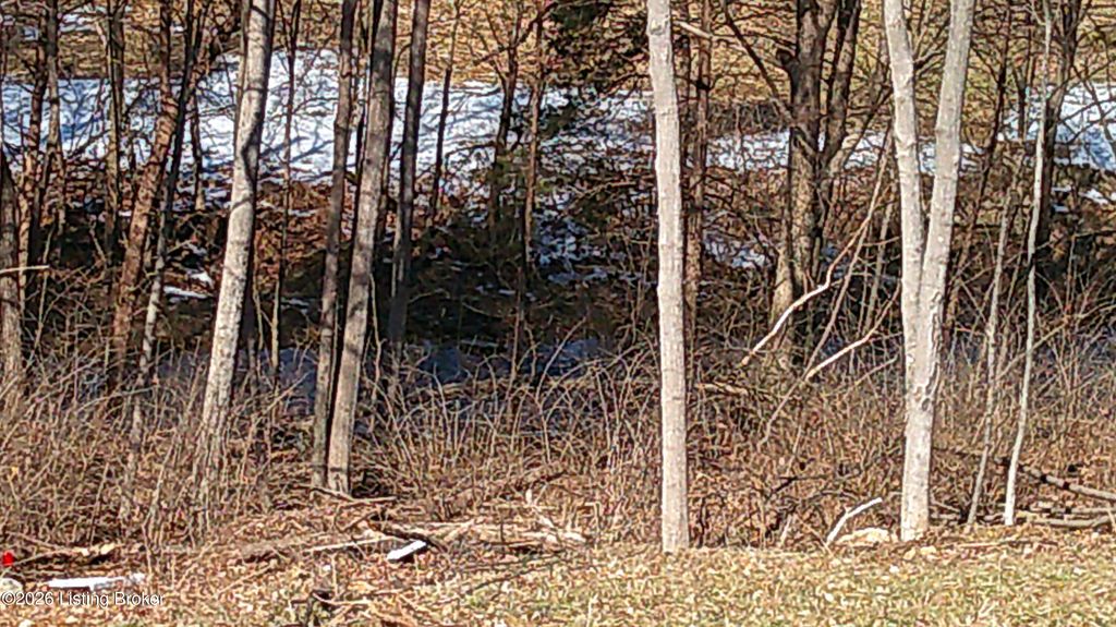 Photo of 402 Meadowview Ct, Bardstown, KY 40004 (MLS # 1709022)