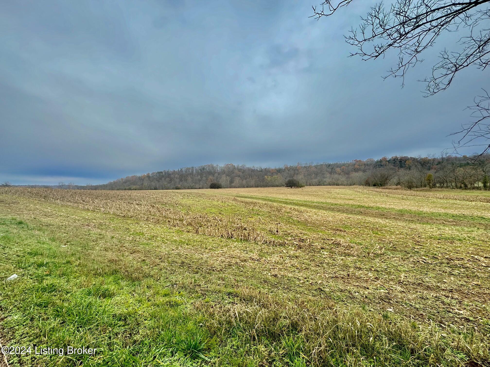 3 Grundy Home Rd, Springfield, Kentucky image 1