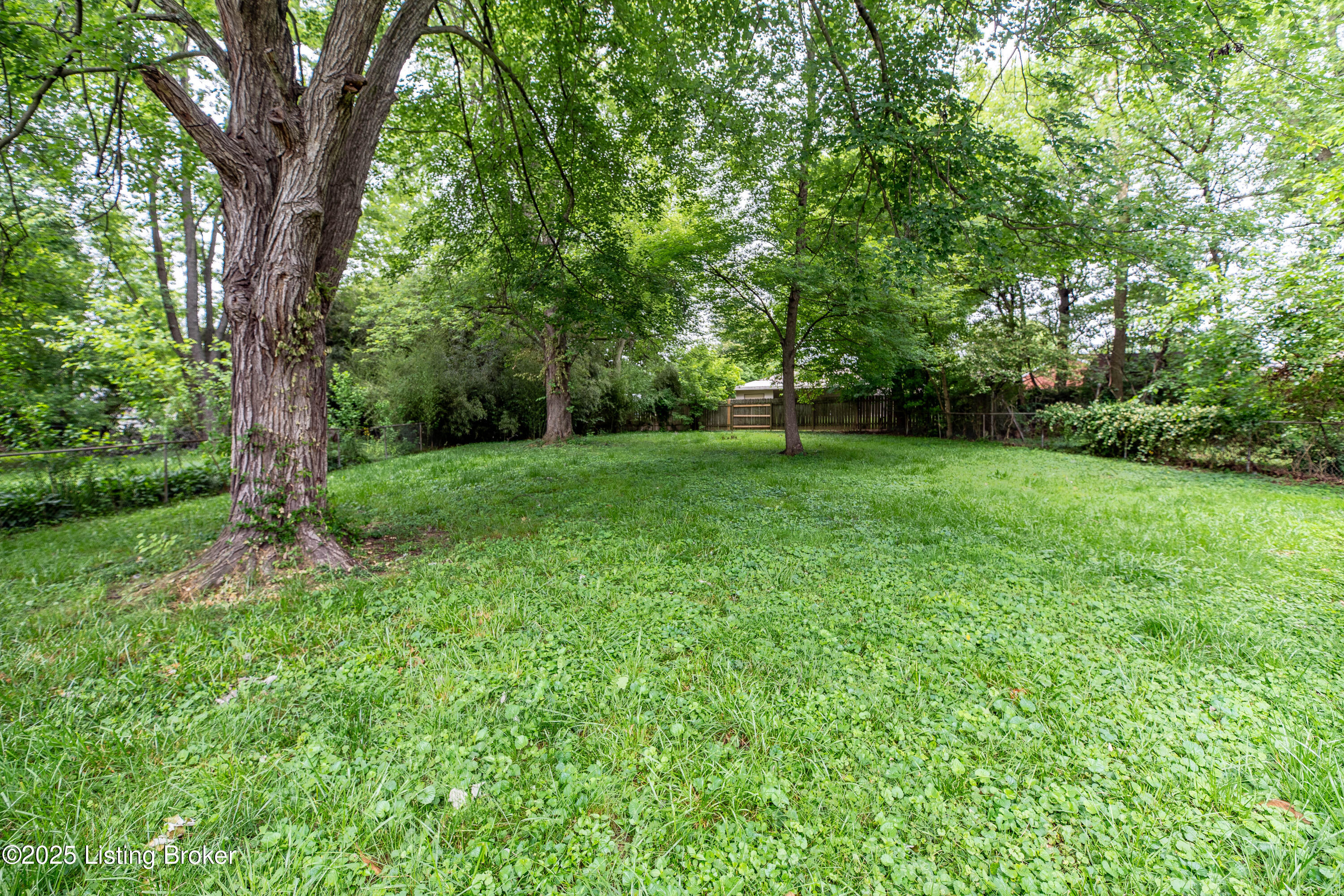 8417 Madrone Ave, Louisville, Kentucky image 19