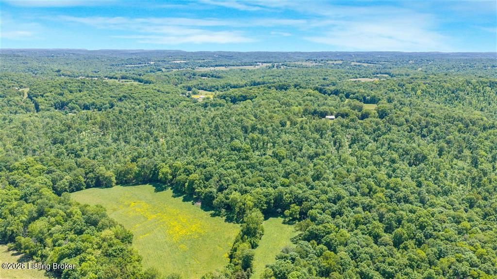 Photo of 0 Clifty Hollow Rd, Bowling Green, KY 42101 (MLS # 1717118)