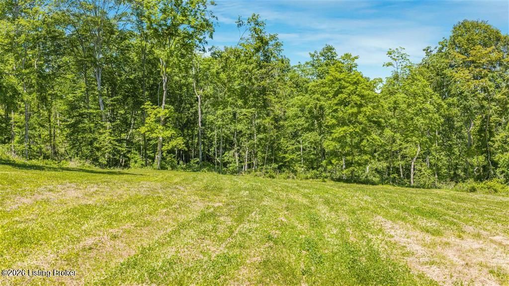 Photo of 0 Clifty Hollow Rd, Bowling Green, KY 42101 (MLS # 1717118)