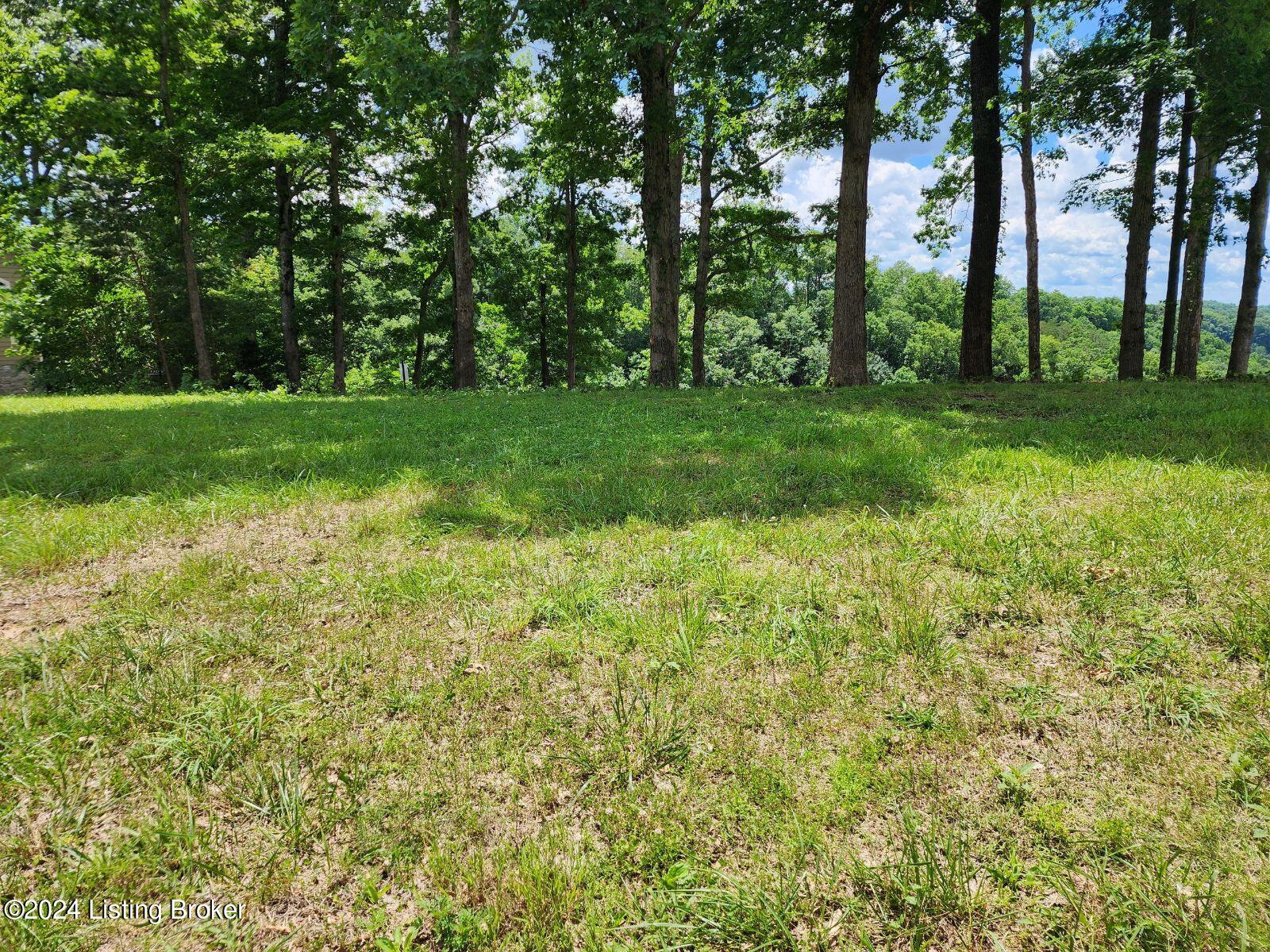 Lot 15 Laurelwood Dr, Nancy, Kentucky image 3