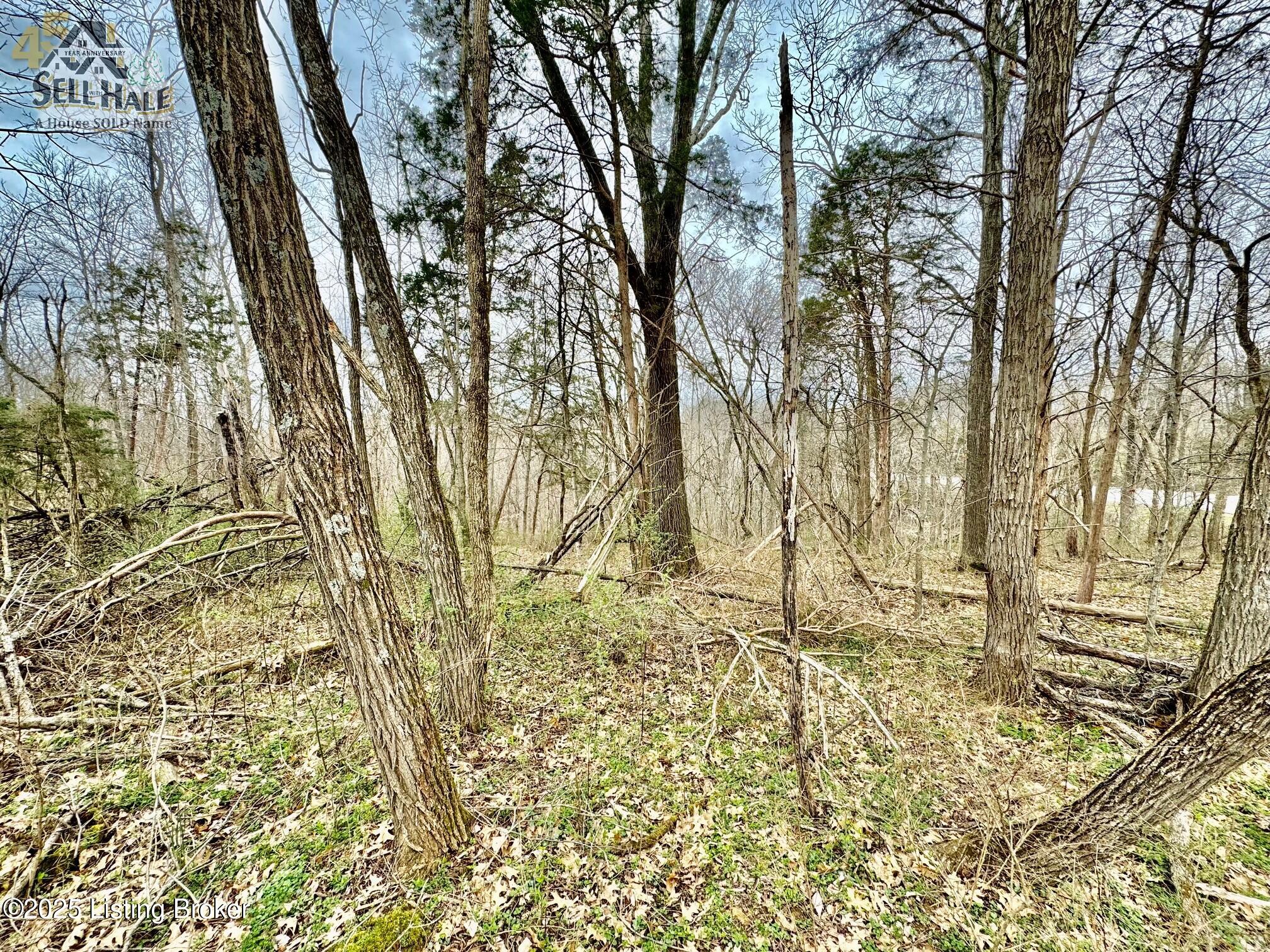 #17 Chaplin Rd, Willisburg, Kentucky image 3