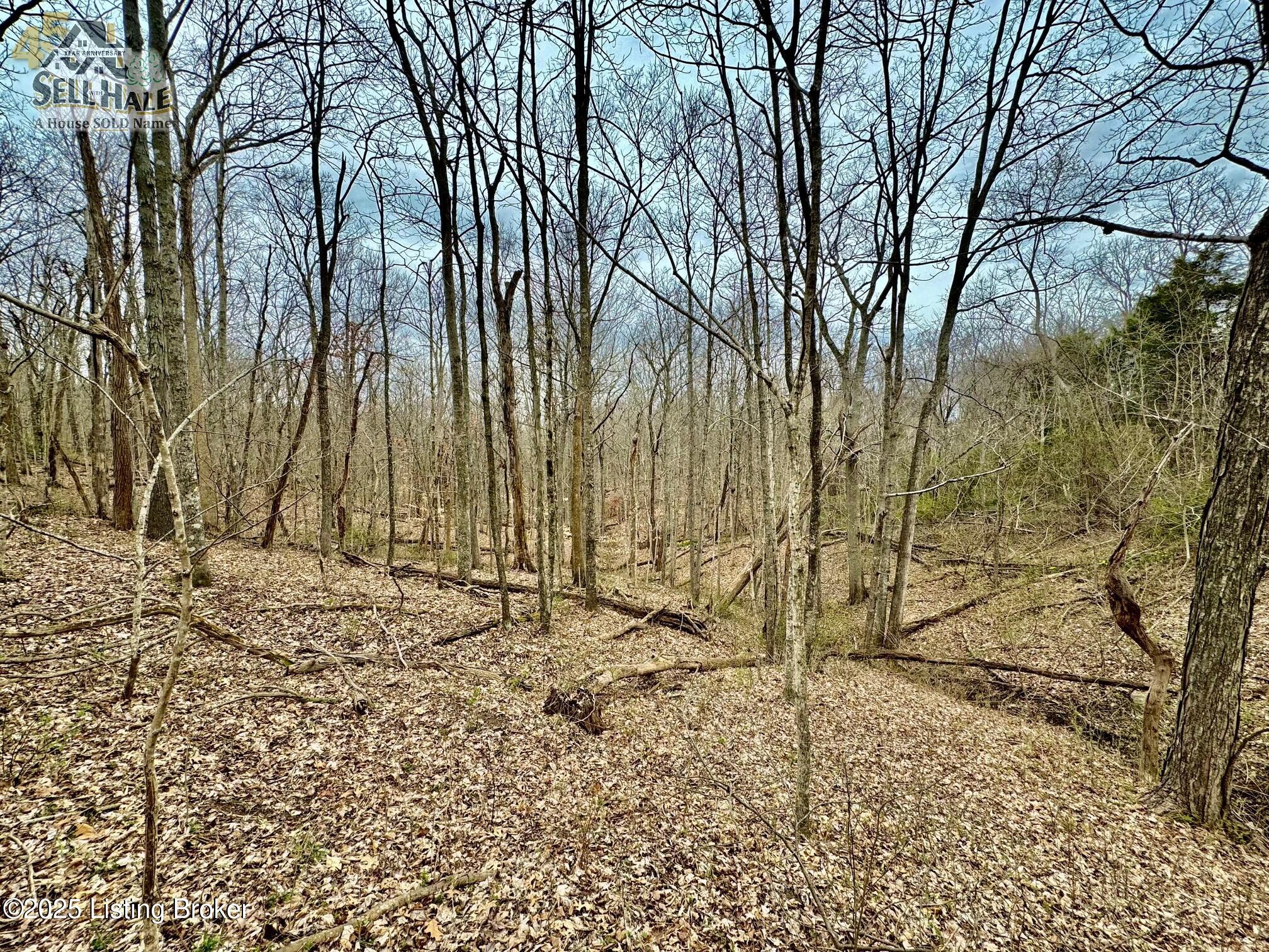 #17 Chaplin Rd, Willisburg, Kentucky image 9