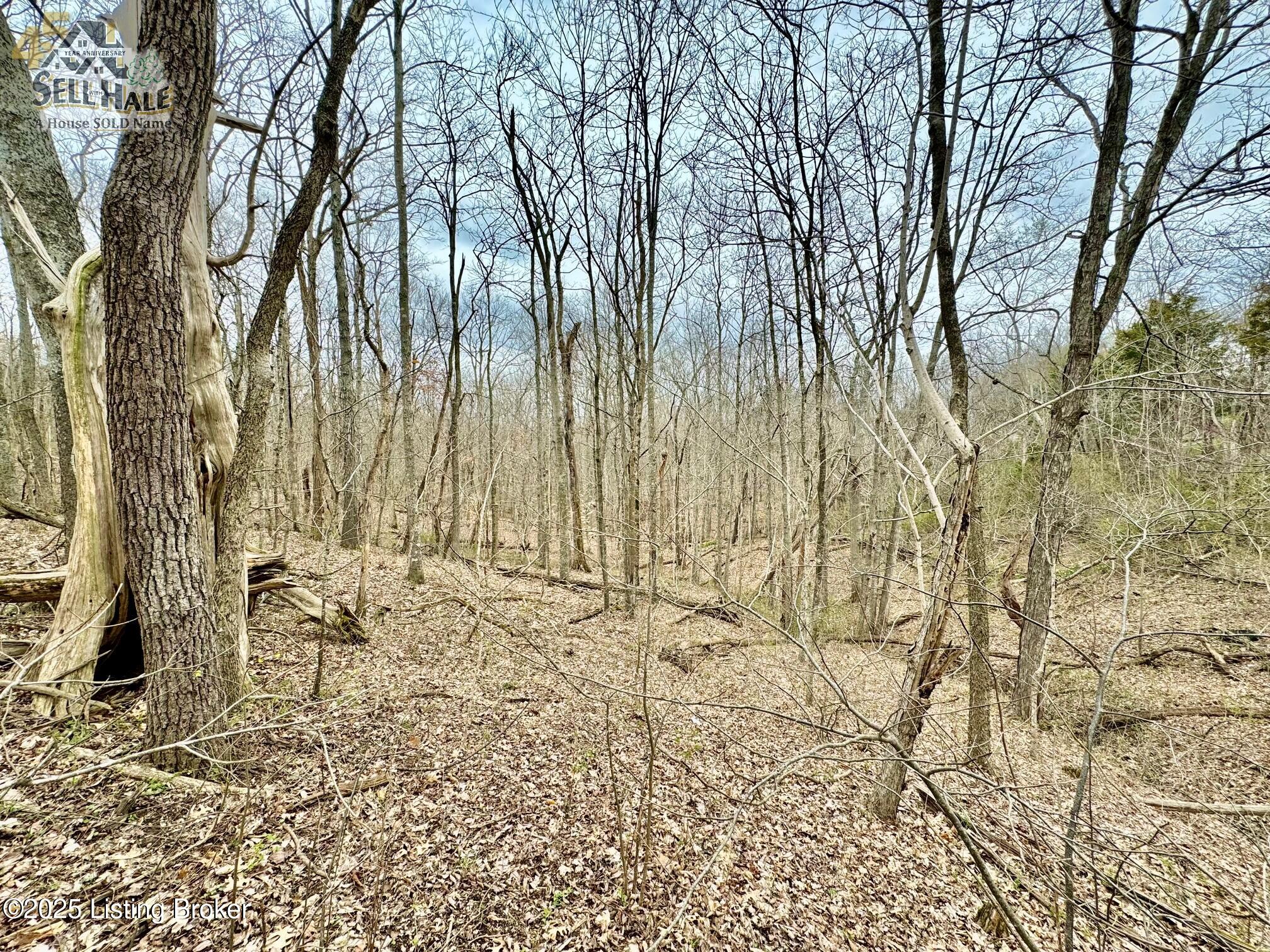 #17 Chaplin Rd, Willisburg, Kentucky image 8
