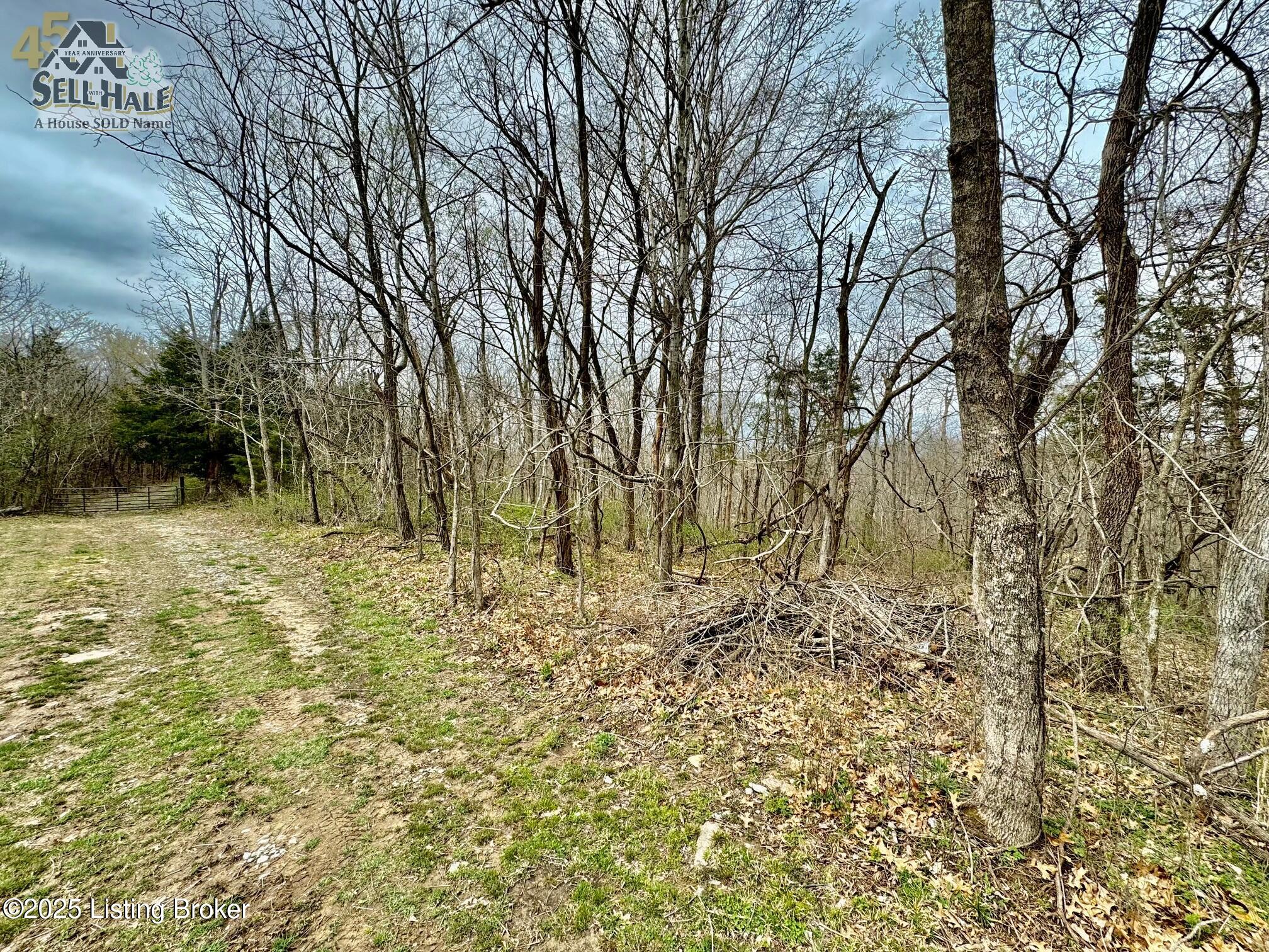 #17 Chaplin Rd, Willisburg, Kentucky image 2