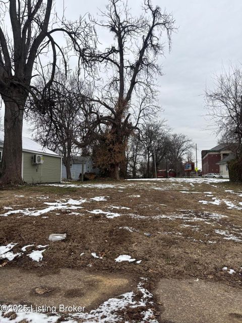 Vacant Land For Sale - 2515 Woodland Ave<br/> Louisville, KY 40210