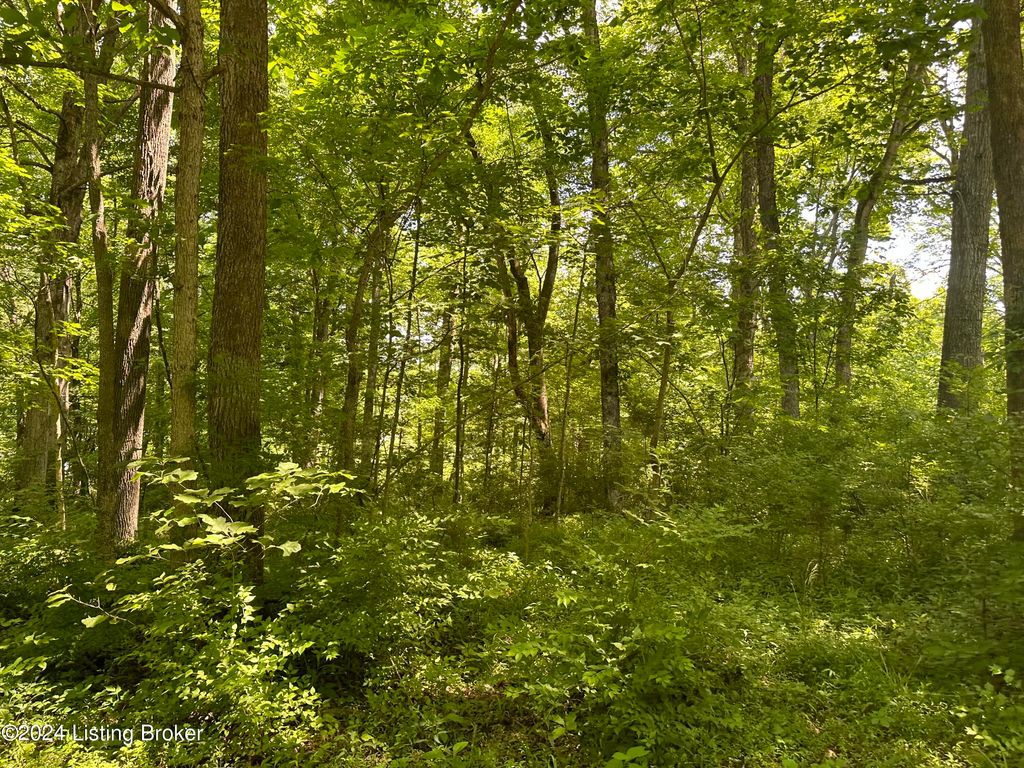 Photo of 248 Maple Ct, New Haven, KY 40051 (MLS # 1704816)