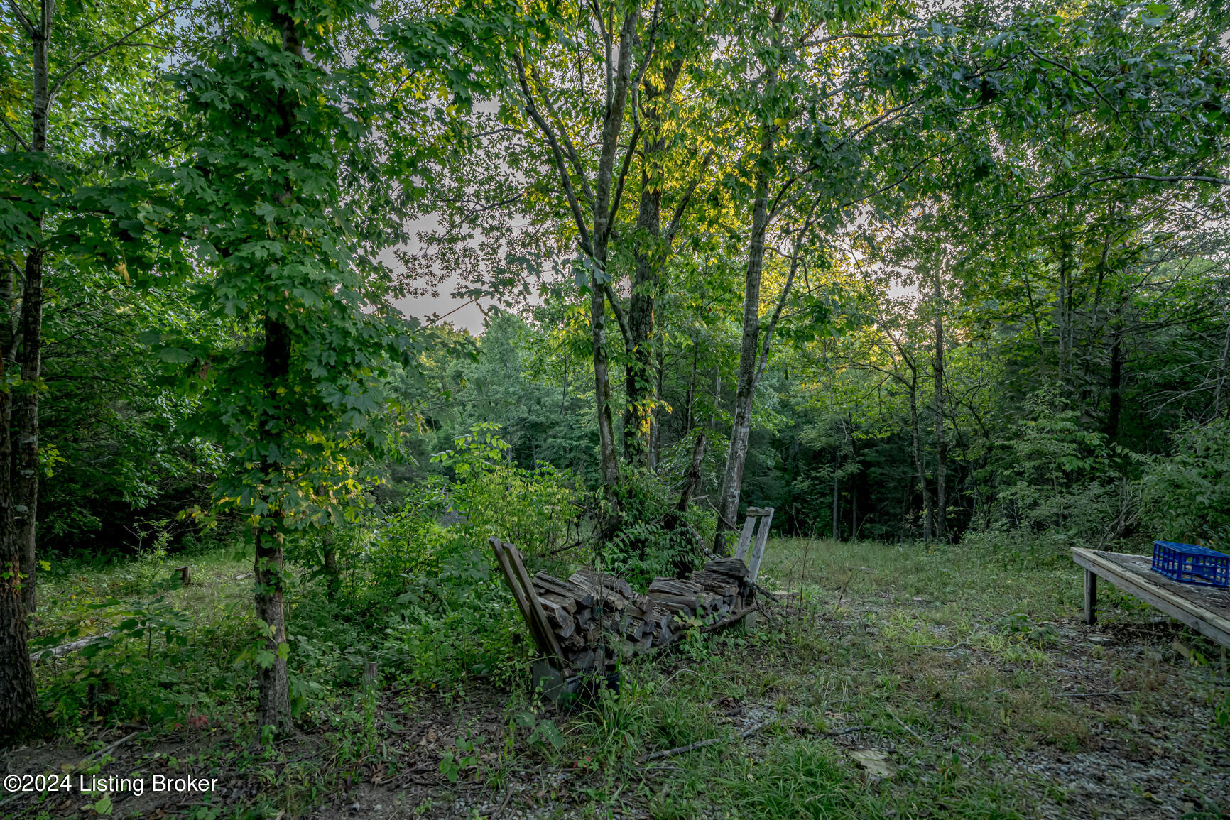 Woodlawn Drive, Bloomfield, Kentucky image 8