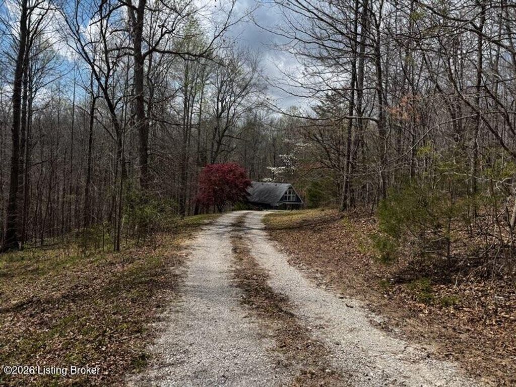 Photo of 225 Mockingbird Ln, Buffalo, KY 42716 (MLS # 1713356)