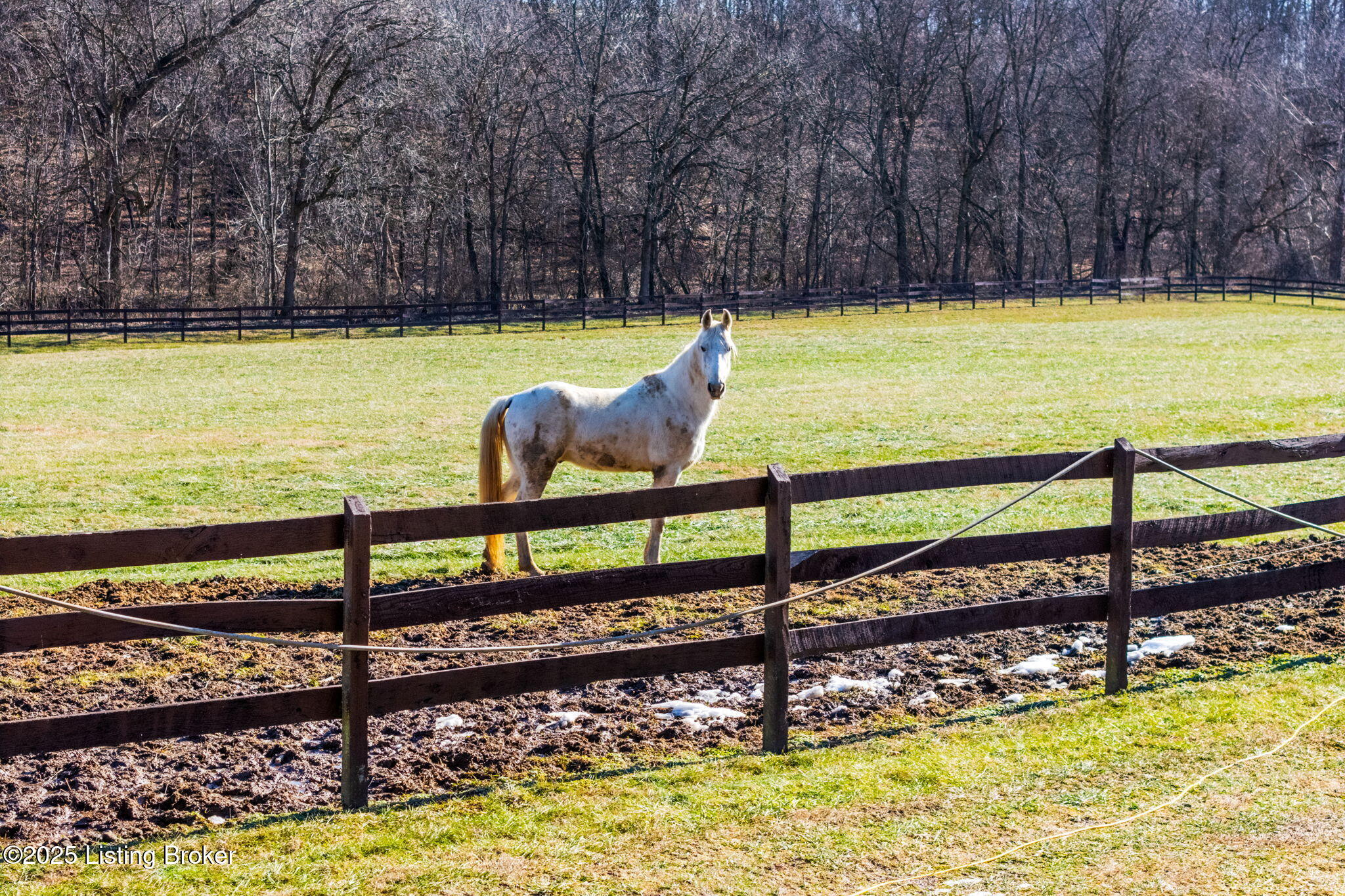 1304 Murray Rd #B, Taylorsville, Kentucky image 7