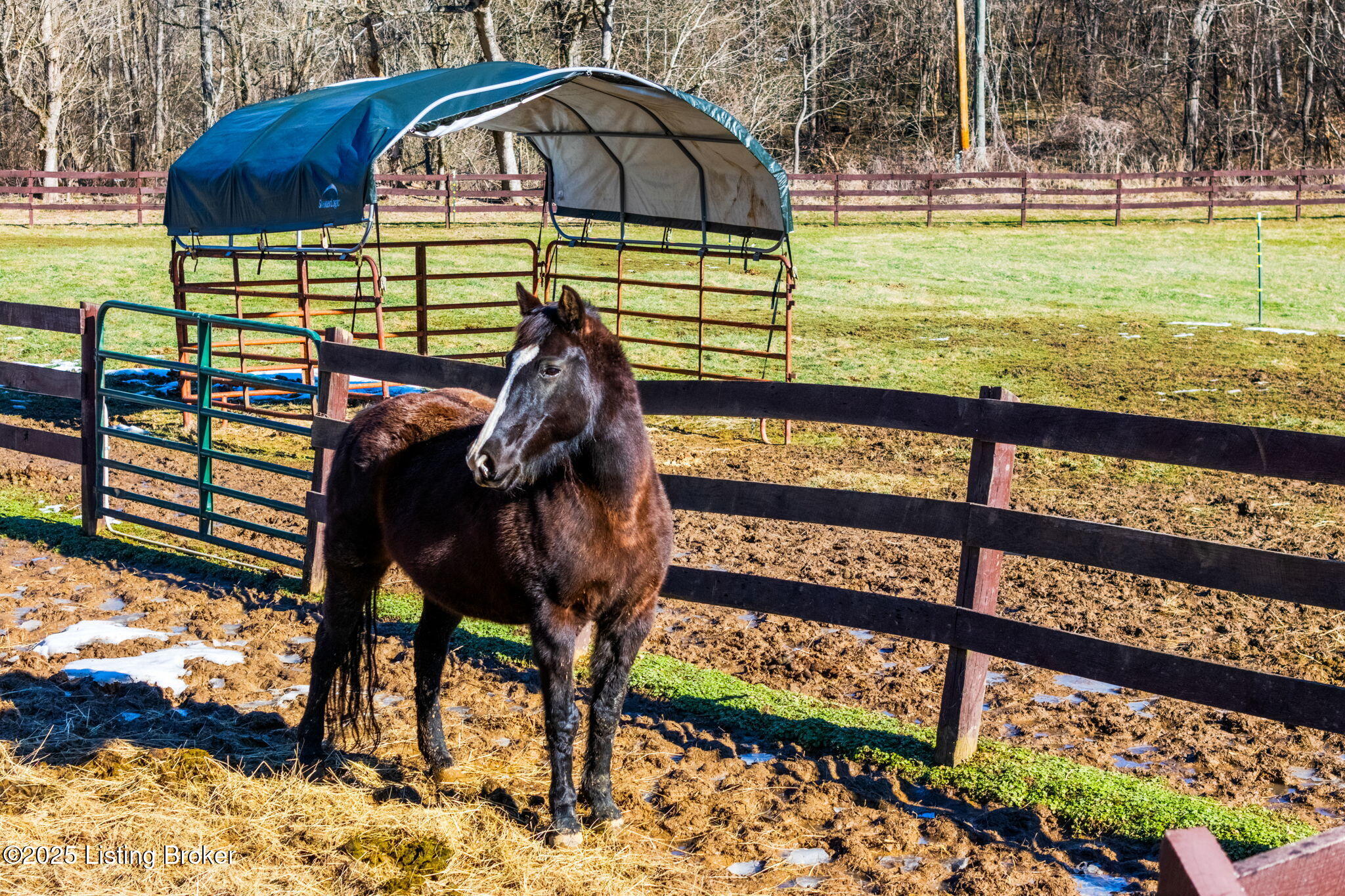 1304 Murray Rd #B, Taylorsville, Kentucky image 6