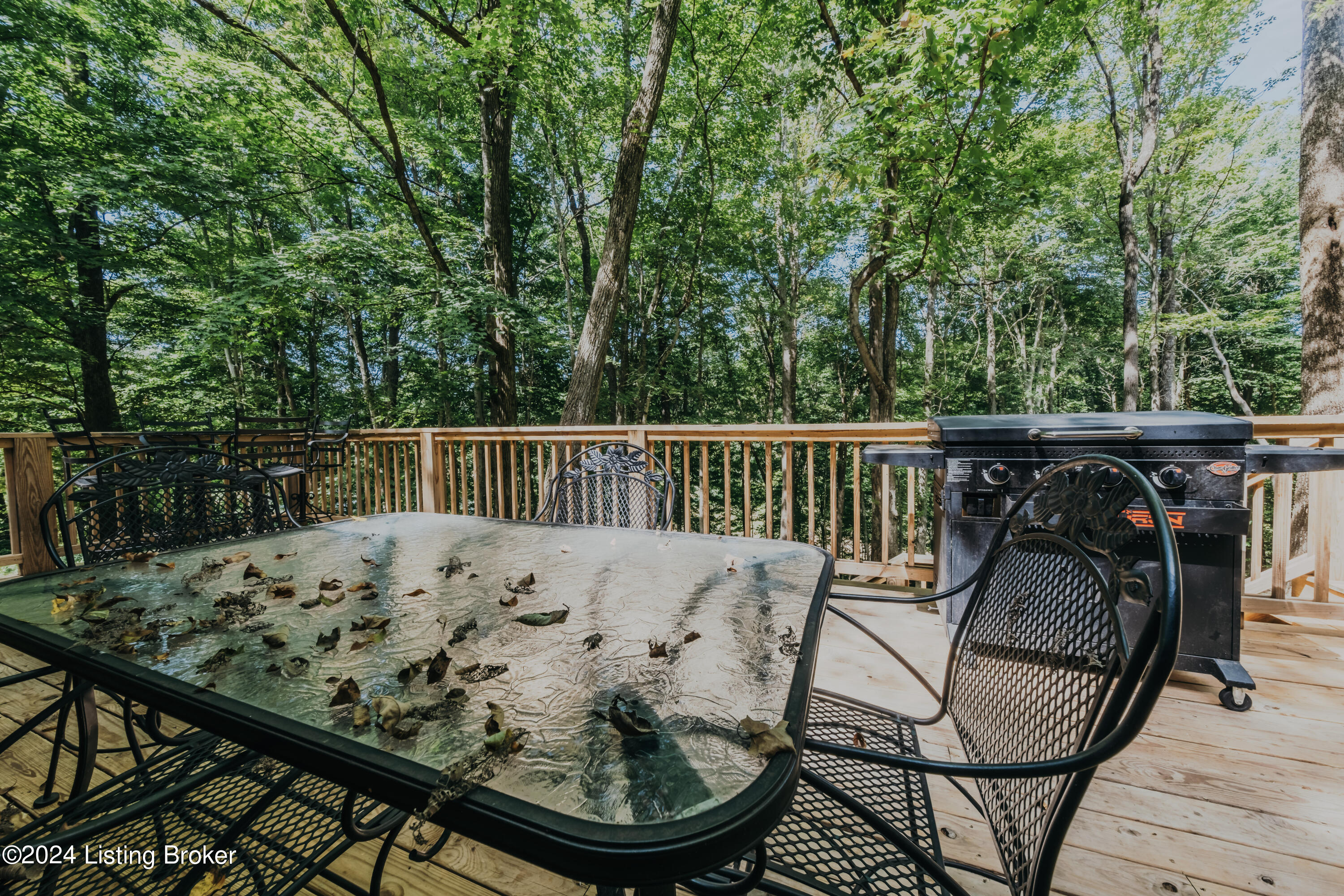 376 Tules Landing Ln, Westview, Kentucky image 37