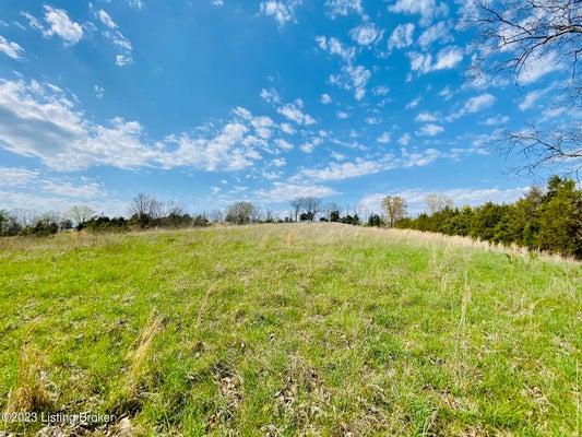 EAST RD, HARRODSBURG, KY 40330 - Image c52080ceb95cd8ad67571e15fbd7c261/983100554