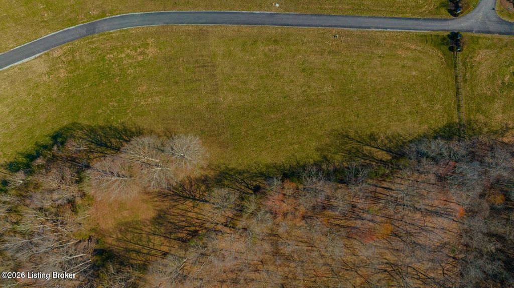 Photo of Lot 94 Paradise Ally #94, Russell Springs, KY 42642 (MLS # 1711934)