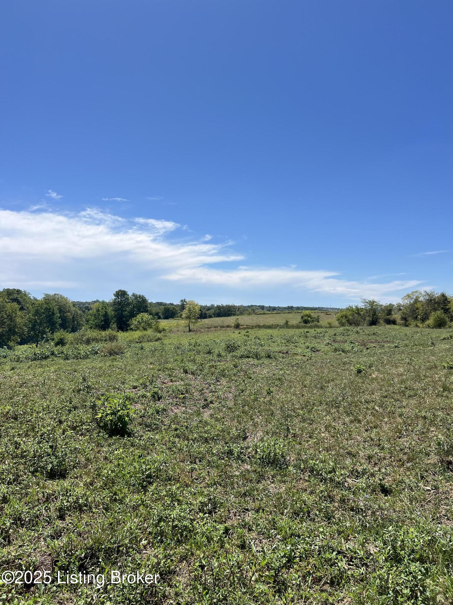 922 Sharon Rd, Ghent, Kentucky image 4