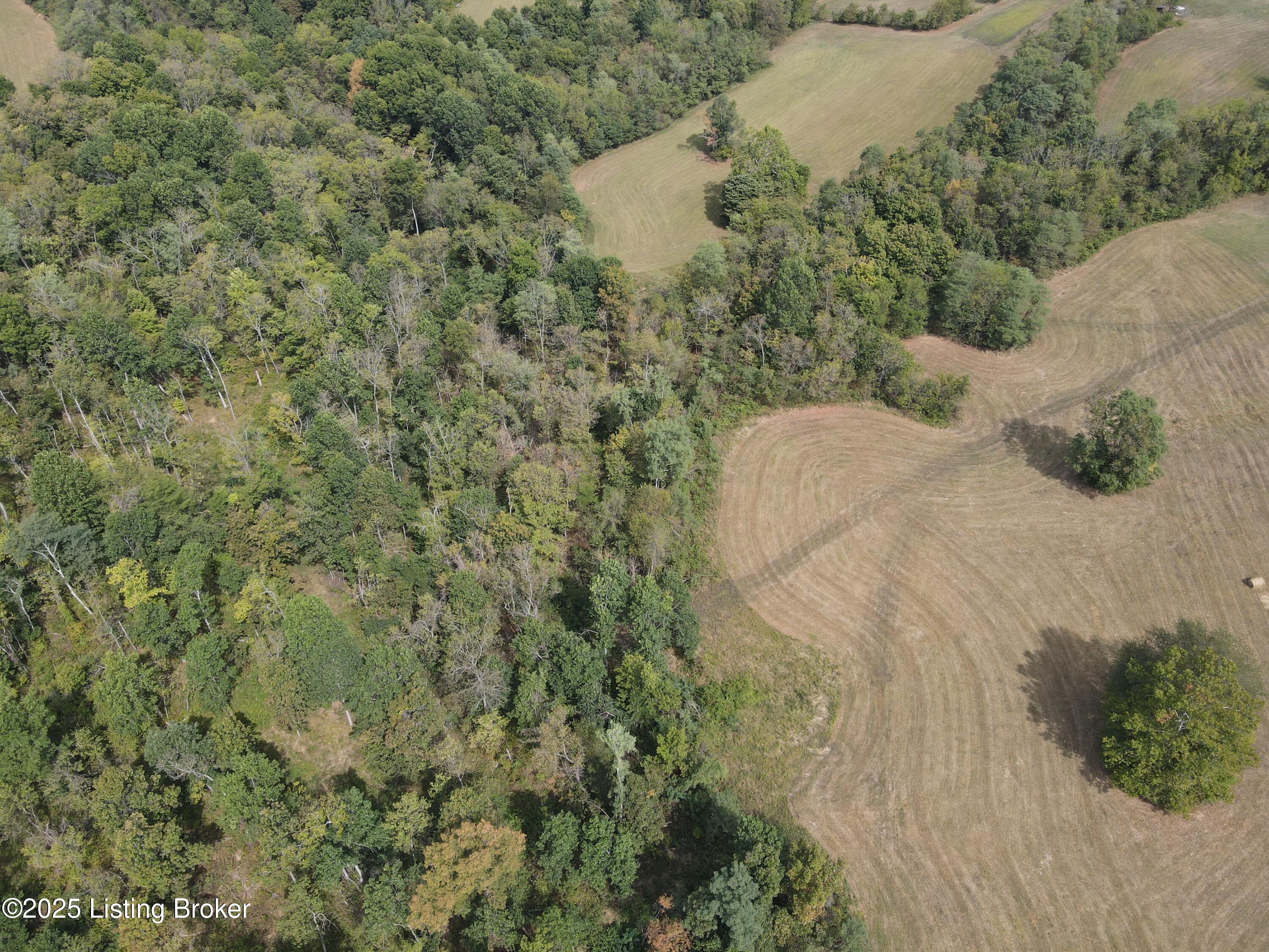 922 Sharon Rd, Ghent, Kentucky image 14