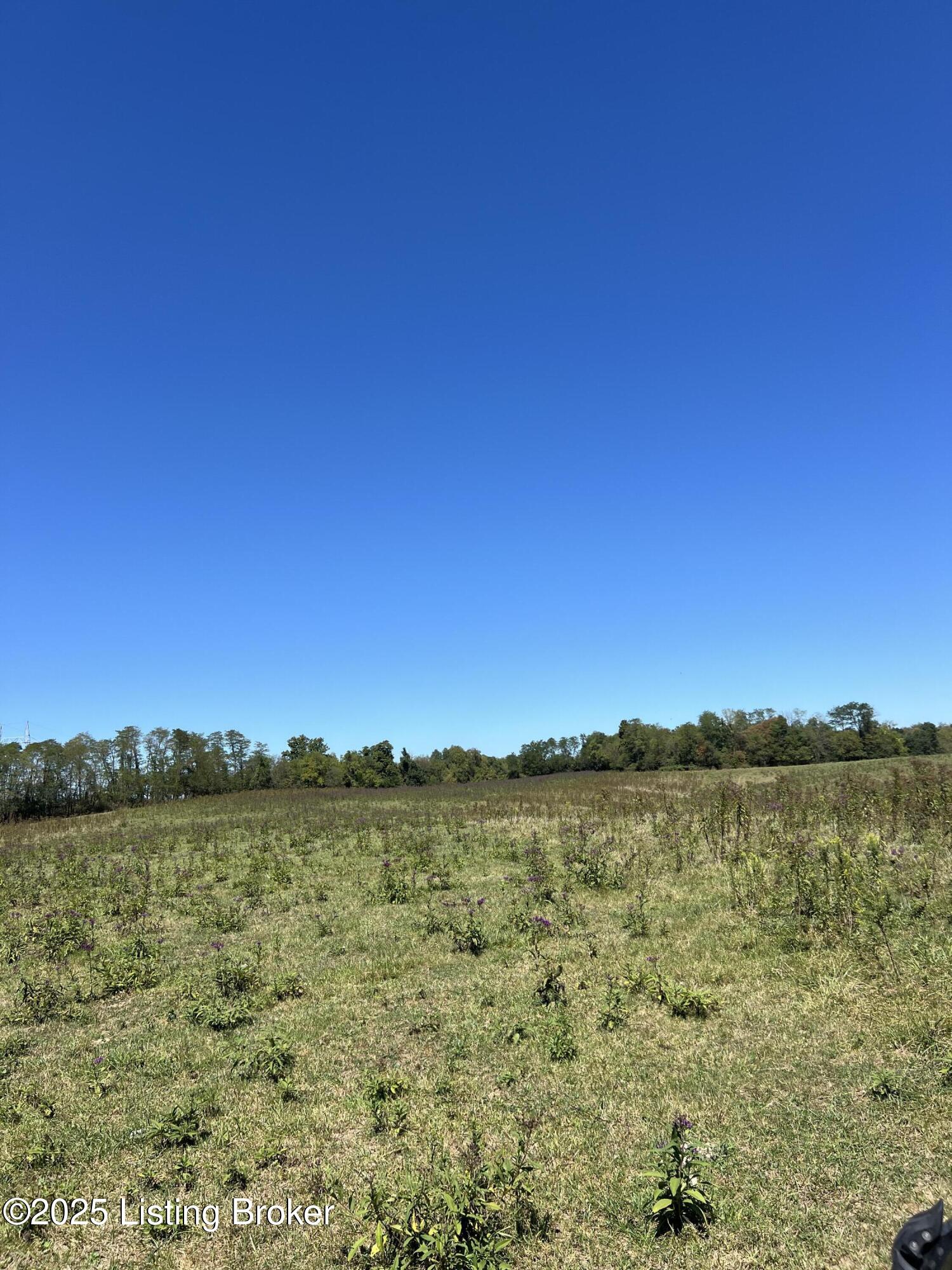 922 Sharon Rd, Ghent, Kentucky image 7