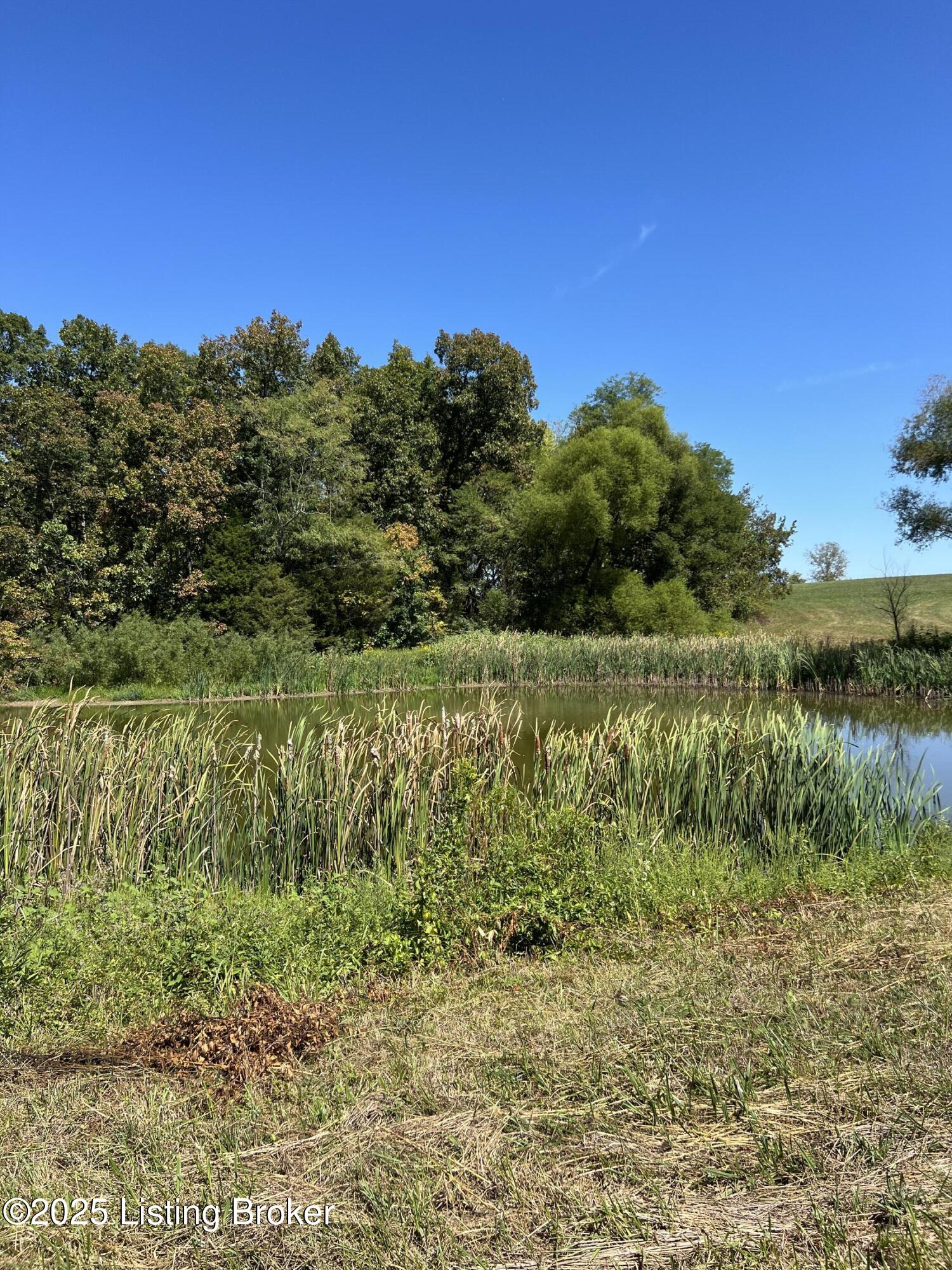922 Sharon Rd, Ghent, Kentucky image 3