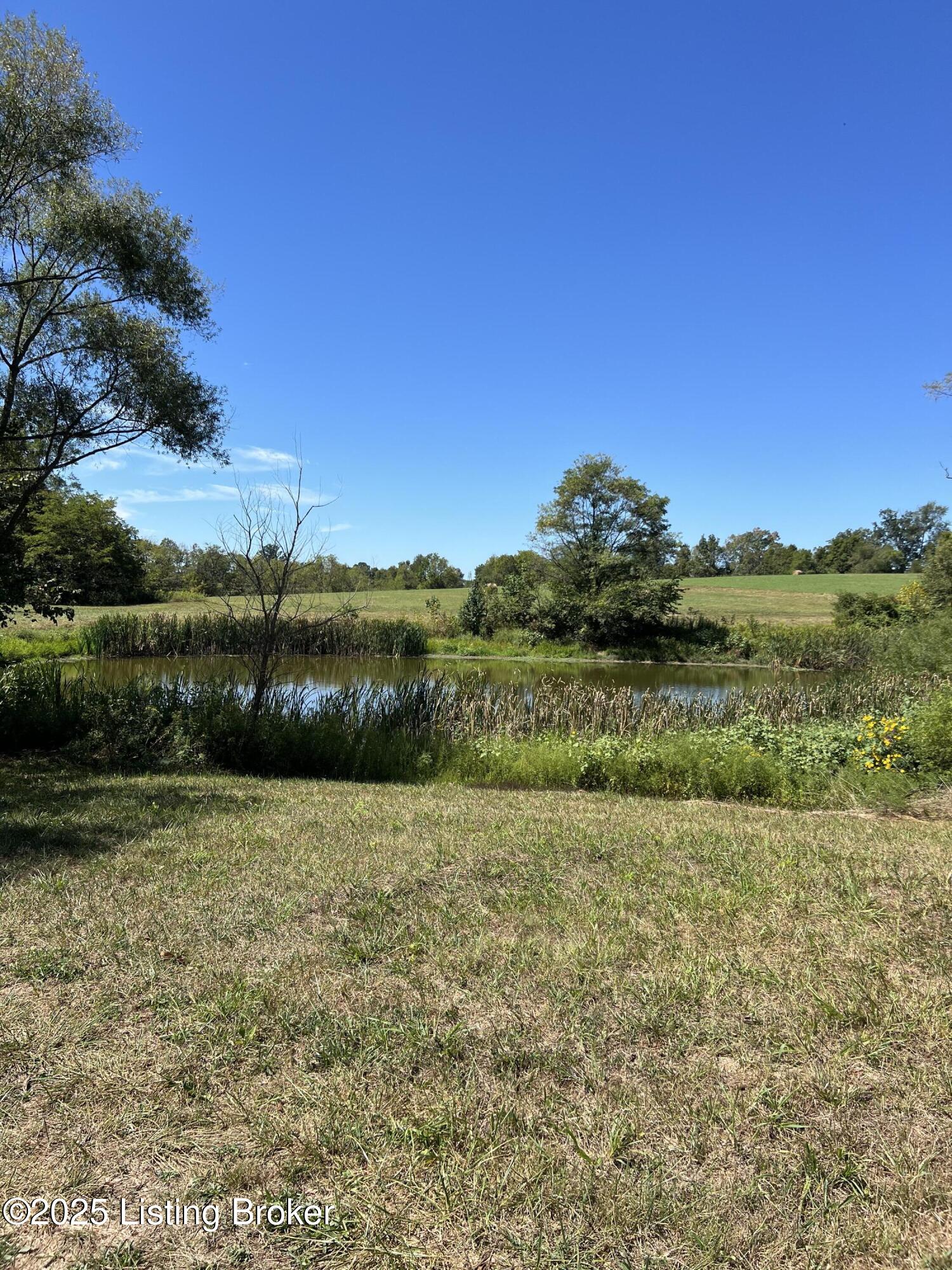 922 Sharon Rd, Ghent, Kentucky image 2