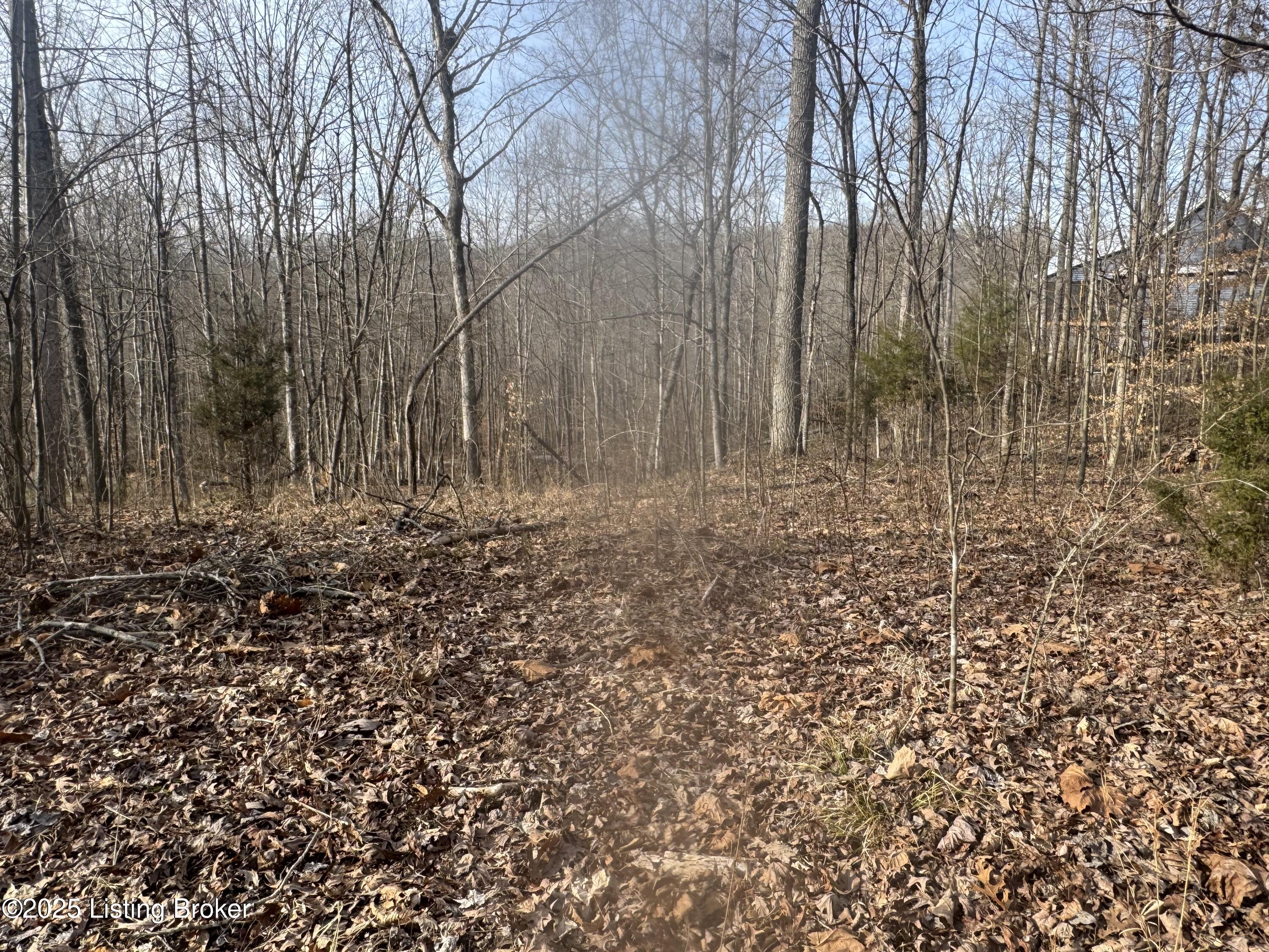 Red Rock Ct, Leitchfield, Kentucky image 6