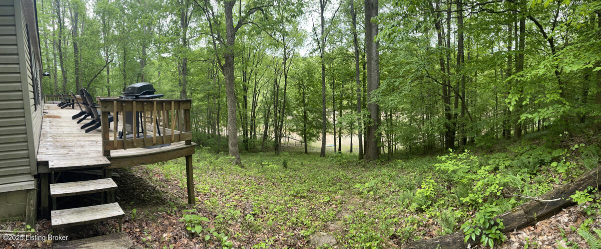 464 Fawn Hill Loop, Leitchfield, Kentucky image 24