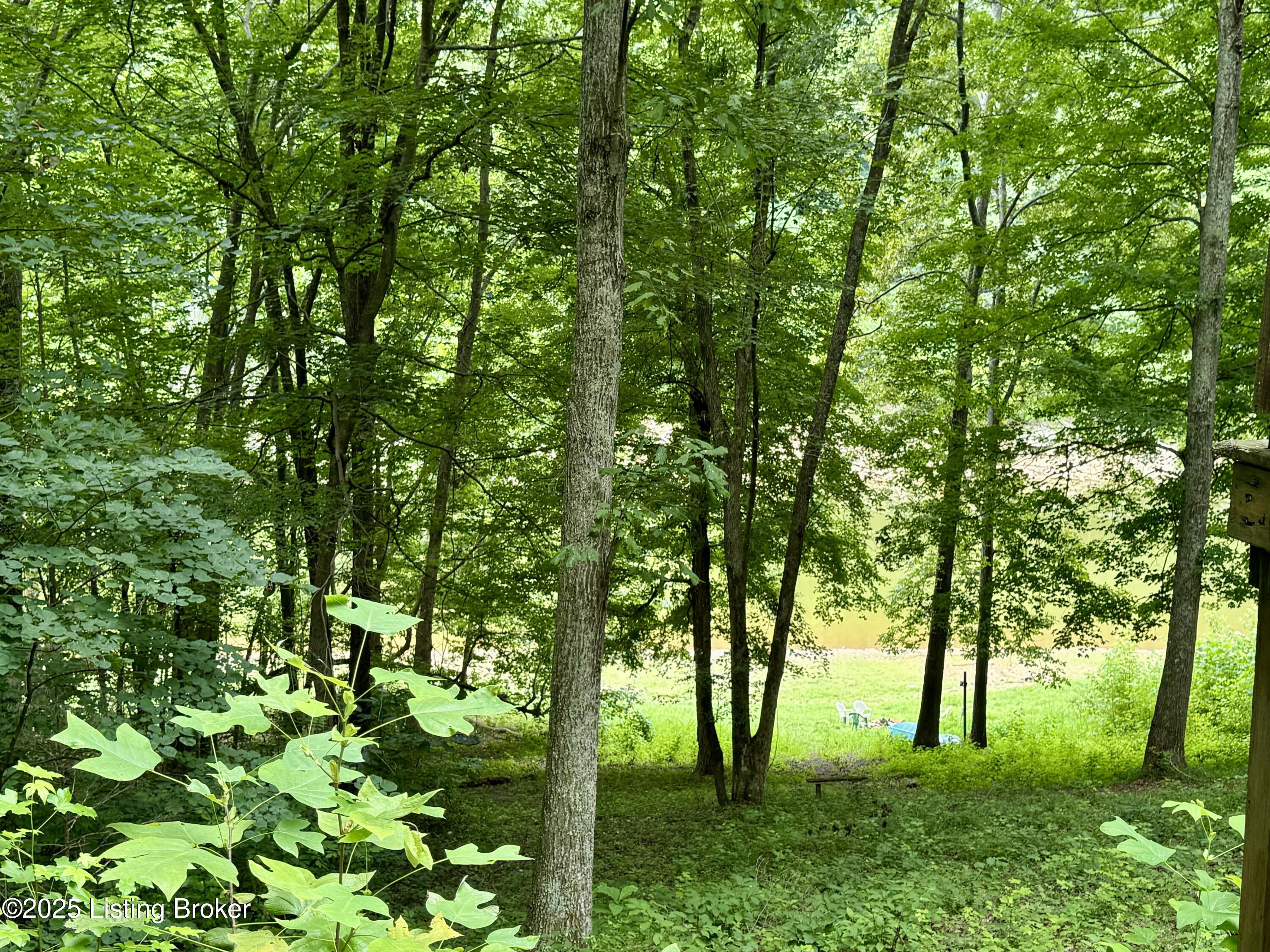 464 Fawn Hill Loop, Leitchfield, Kentucky image 30