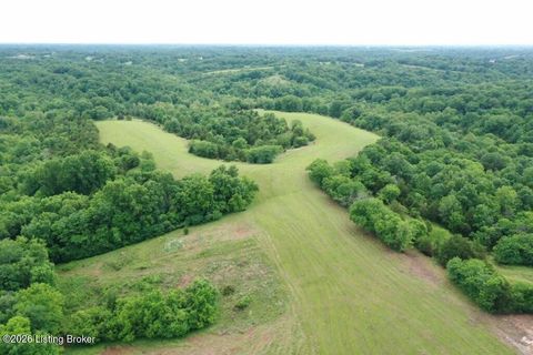 Vacant Land For Sale - 4829 Chaplin Rd #6<br/> Willisburg, KY 40078