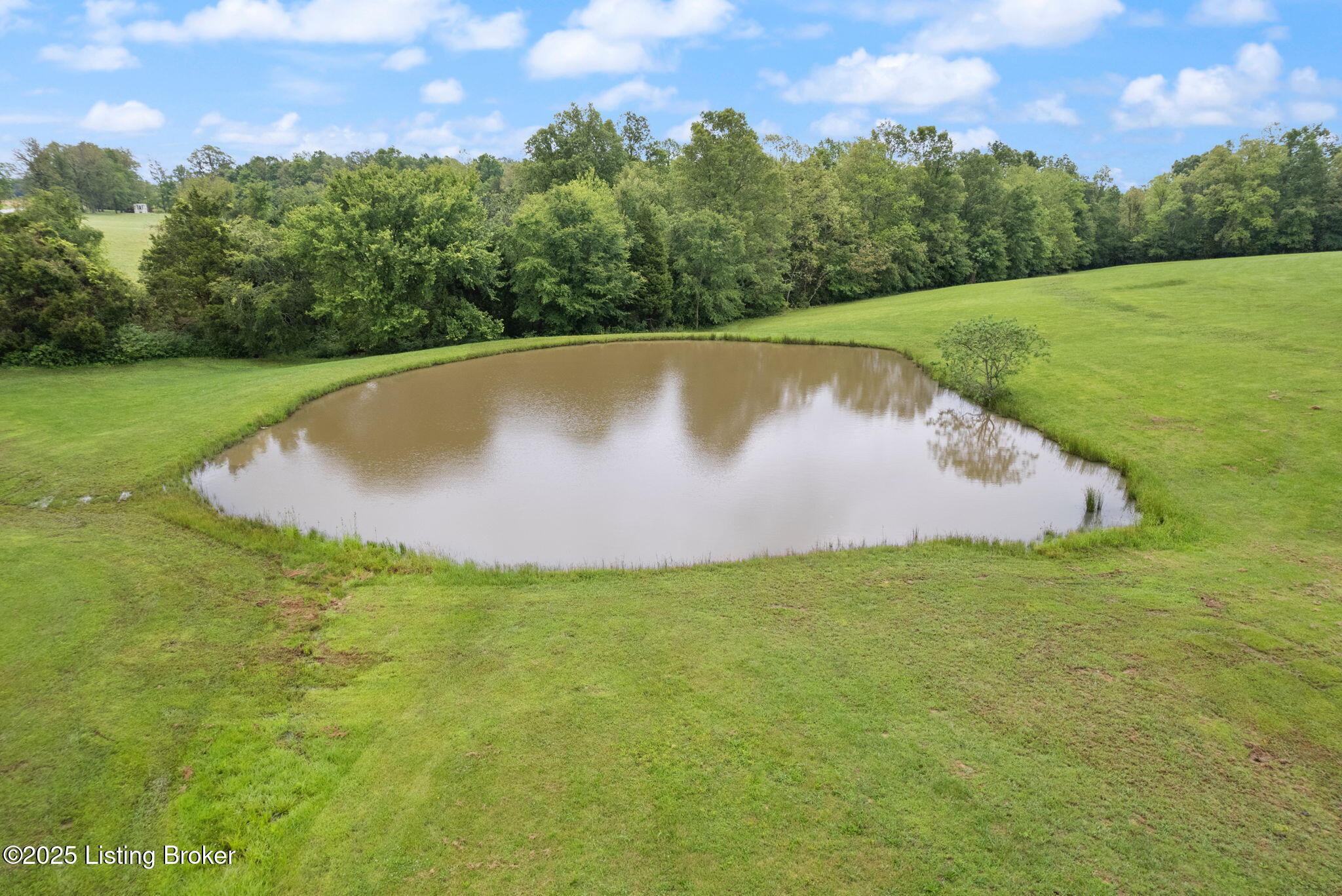 11464 Ky Hwy 259 N, Bee Spring, Kentucky image 8