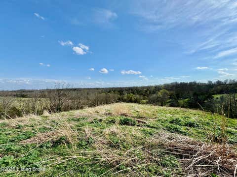 Vacant Land For Sale - 3826-3 Chaplin Rd<br/> Willisburg, KY 40078