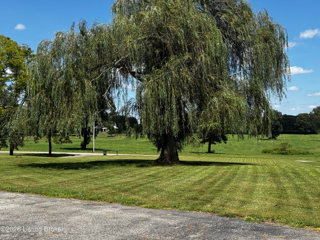 Photo of 643 Molly Brown Rd, Brandenburg, KY 40108 (MLS # 1727023)