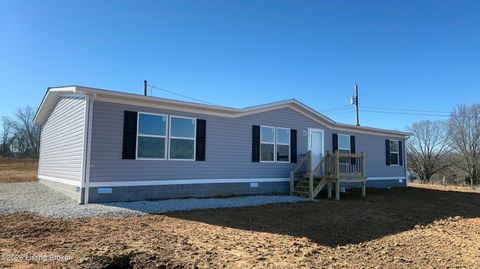 Homes For Sale - 199 Joyce Ct<br/> Guston, KY 40142