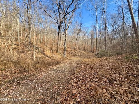 Vacant Land For Sale - 9-10 Winding Hollow Ln<br/> Lebanon Junction, KY 40150