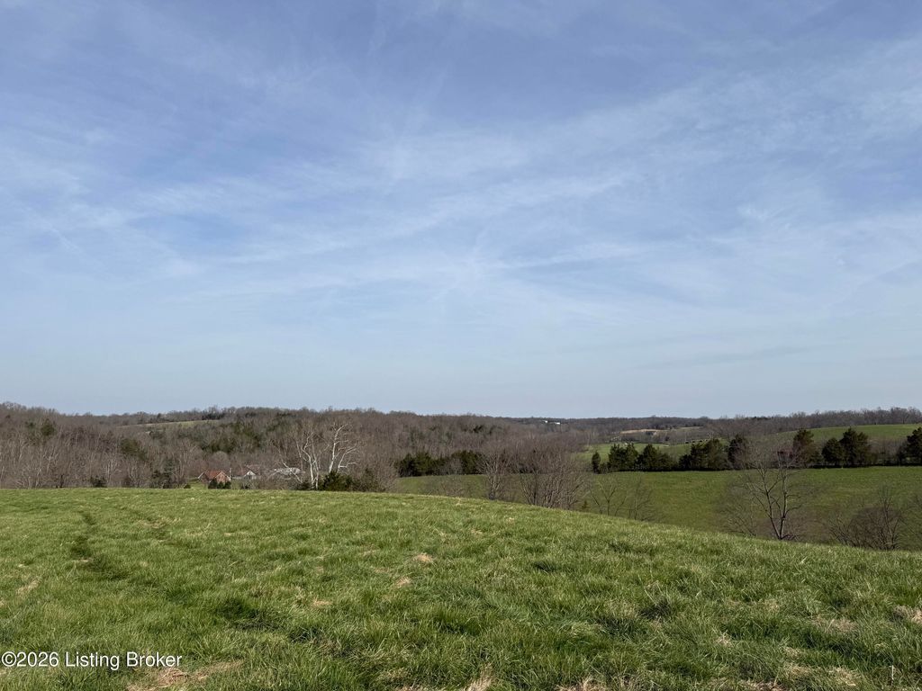 Photo of 1111 Mike Brown Ln, Taylorsville, KY 40071 (MLS # 1712913)