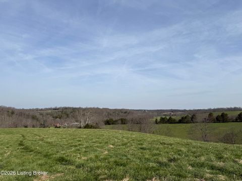 Vacant Land For Sale - 1111 Mike Brown Ln<br/> Spencer County, Taylorsville, KY 40071