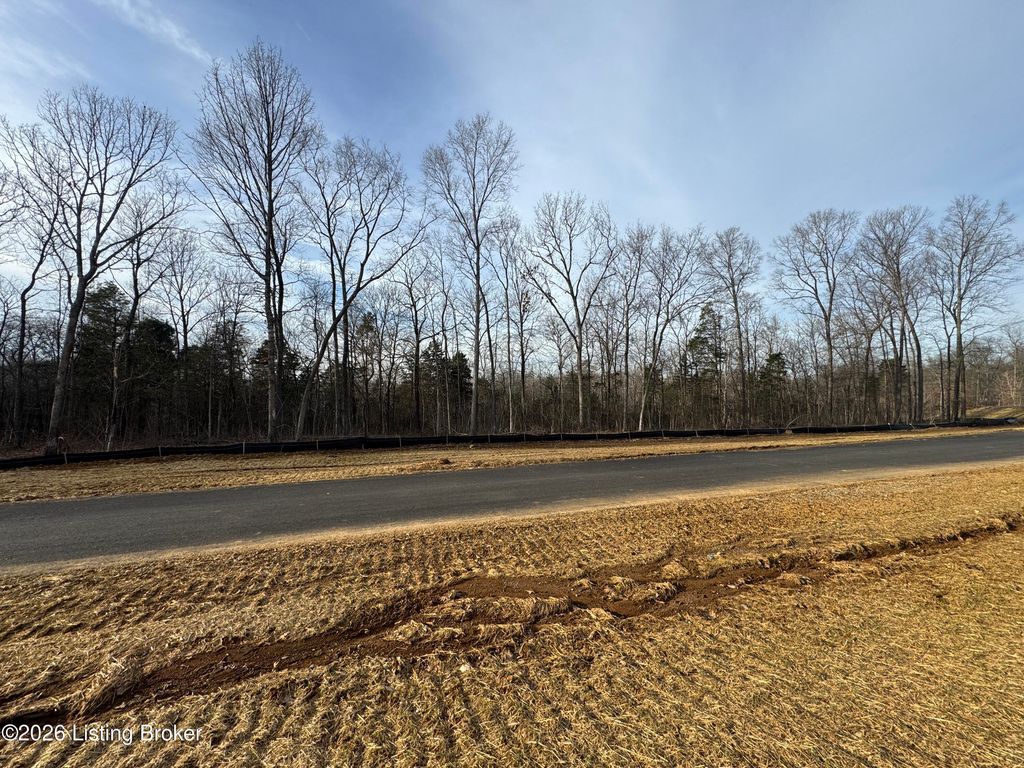 Photo of Lot 12 Lana Rd, Shepherdsville, KY 40165 (MLS # 1706772)