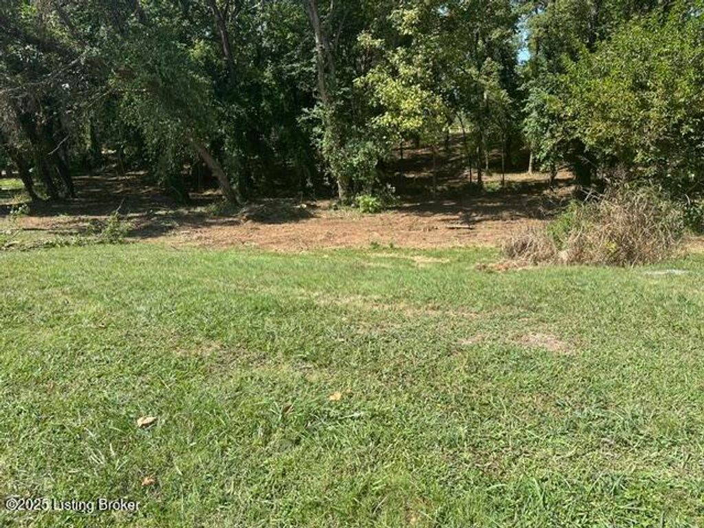 Photo of 916 Woods Run Rd, Bardstown, KY 40004 (MLS # 1704501)