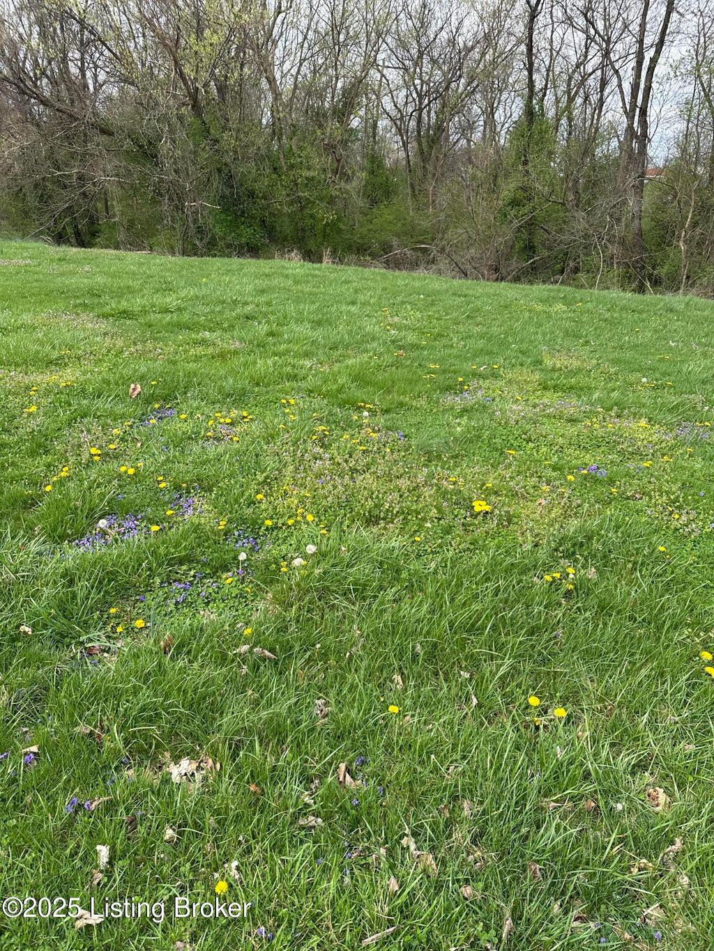 Photo of 916 Woods Run Rd, Bardstown, KY 40004 (MLS # 1704501)