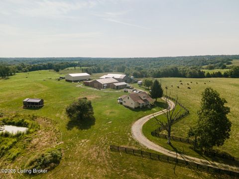 Homes For Sale - 794 Baugh Ln<br/> Pleasureville, KY 40057