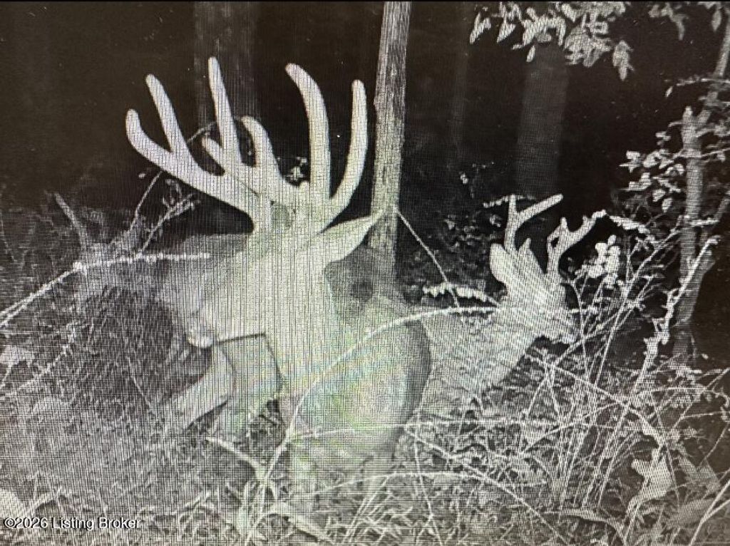 Photo of 0 Minter Ln #000, Custer, KY 40115 (MLS # 1712351)