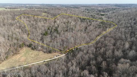 Vacant Land For Sale - Minter Ln #000<br/> Breckinridge County, Custer, KY 40115