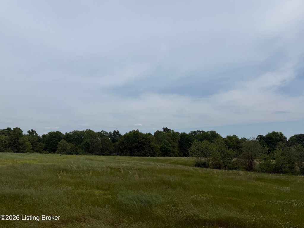 Photo of Lot 112D&amp;F Old Sligo Rd, La Grange, KY 40031 (MLS # 1718170)