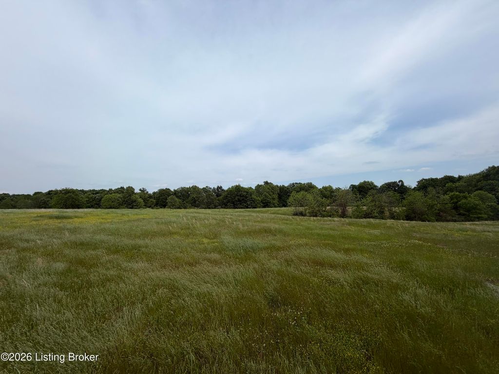 Photo of Lot 112D&amp;F Old Sligo Rd, La Grange, KY 40031 (MLS # 1718170)
